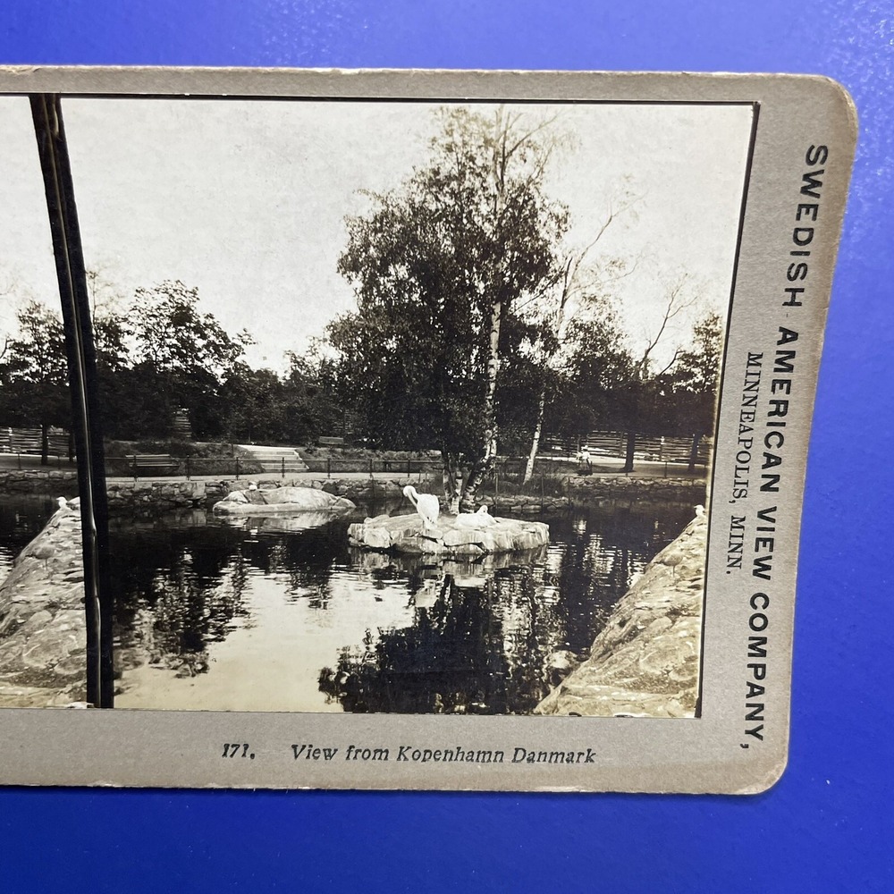 Antique Stereoview Card Swedish American Lake Birds view from Kopenhamn Danmark